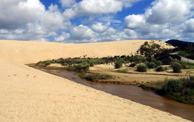 Te Paki Sand Dunes – Sanddünen mitten im Grünen
