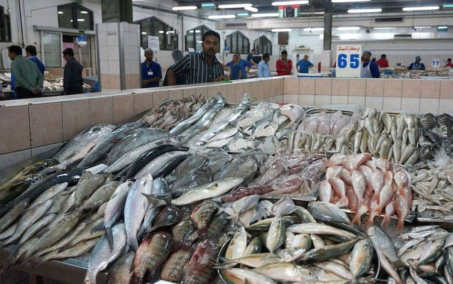 Abu Dhabi - Mina Fischmarkt