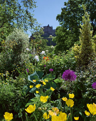 grüner Blick zum Edinburgh Castle