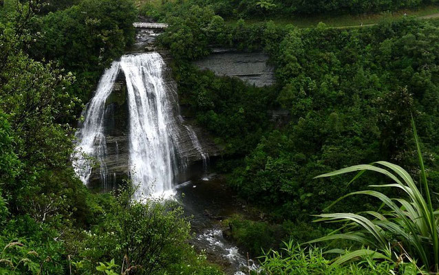 Mokau Falls im Te Urewera Nationalpark