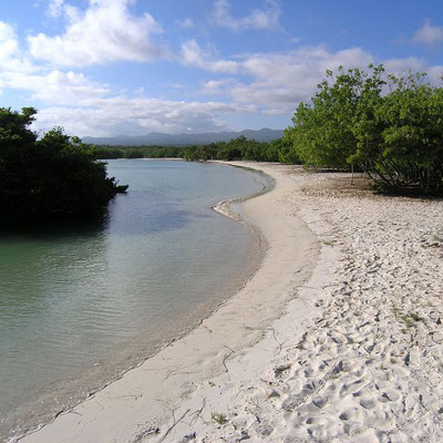 Landschaft im Umfeld der Tortuga Bay