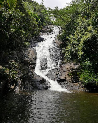Sauzier Wasserfall in der Nähe von  Port Launay / Mahe