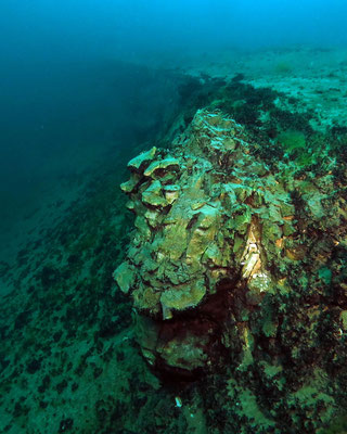 Unterwasserlandschaft - kleiner Steilhang