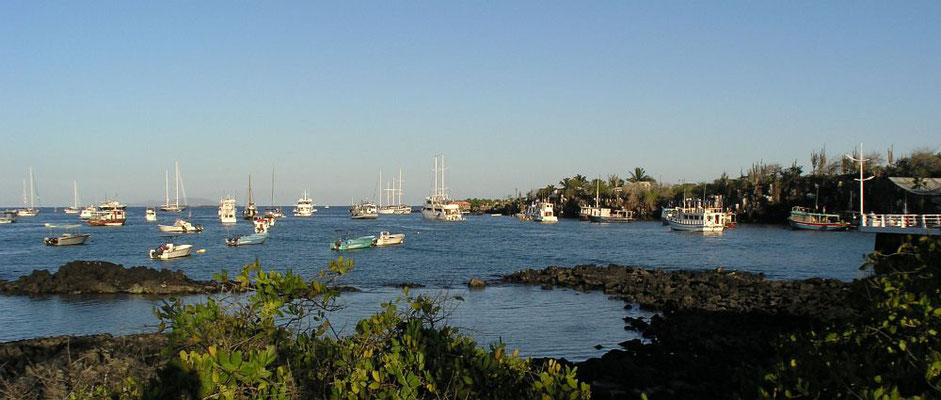 Blick auf den Hafen von Puerto Ayora auf der Insel Santa Cruz