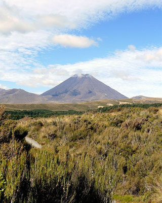 Mount Ngauruhoe, unschwer als ein Vulkan erkennbar