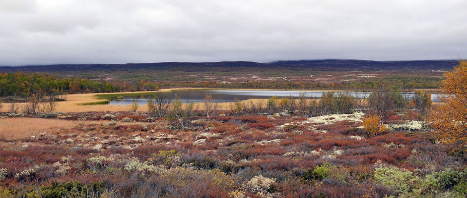 farbenprächtige Fjell-Landschaft