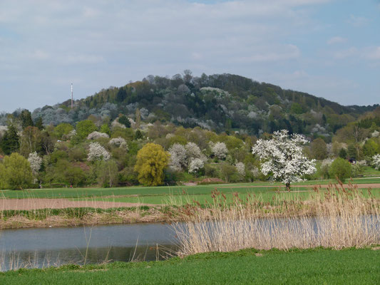 Frühling bei Bad Soden Allendorf