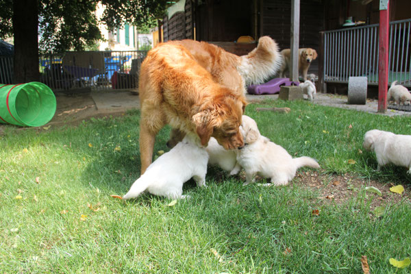 Hailey betreut die Kleinen liebevoll