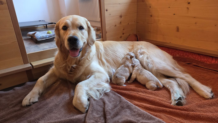  und so ein schönes Mami