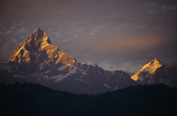 Machhapuchare im Morgenlicht