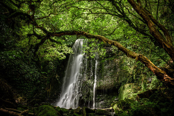 Wasserfall in den Catlins