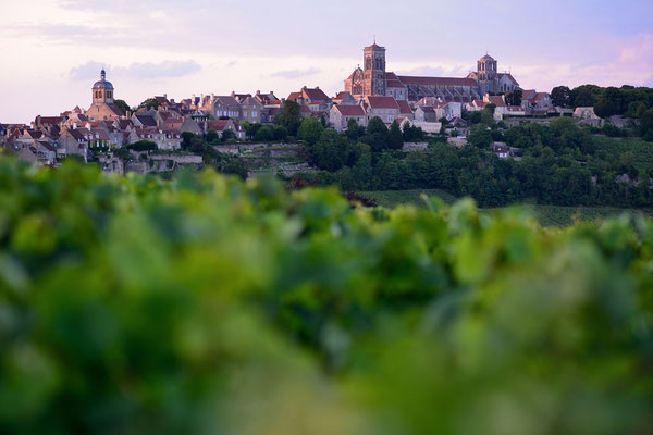 Vézélay in Burgund mit seiner beühmten Basilika Ste Madelaine, aus den Weinbergen fotografiert