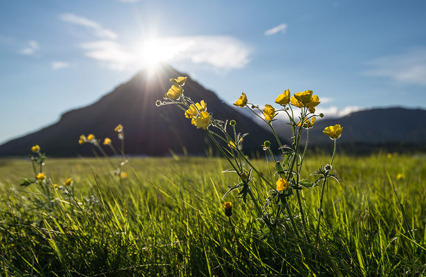 Impressionen aus Arnastapi