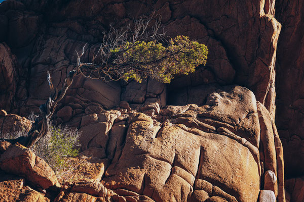 In den Calanques