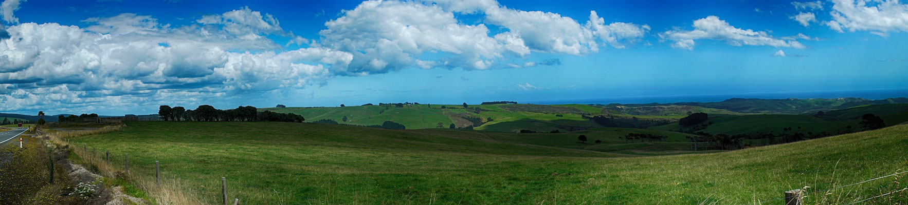 Auckland Haken-Bars