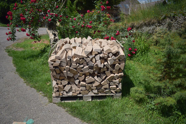 Brennholz aus unserem Wald - Tannenbaumplantage Wälchli Weihnachtsbäume Wäckerschwend