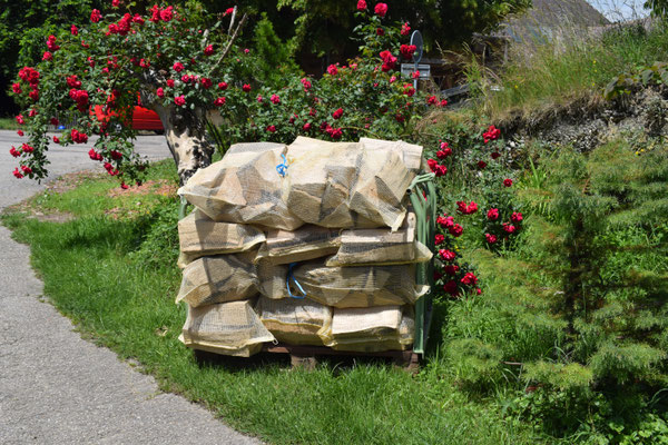 Brennholz aus unserem Wald - Tannenbaumplantage Wälchli Weihnachtsbäume Wäckerschwend