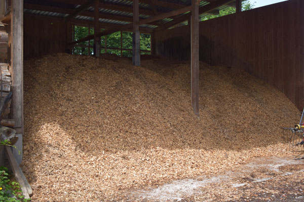 Brennholz aus unserem Wald - Tannenbaumplantage Wälchli Weihnachtsbäume Wäckerschwend