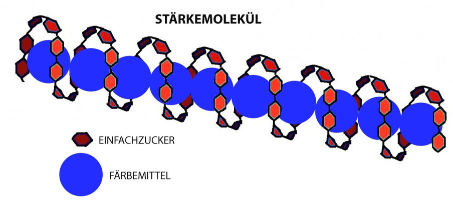 Stärkemolekül mit Farbstoff