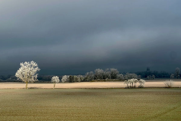 ALTMARK