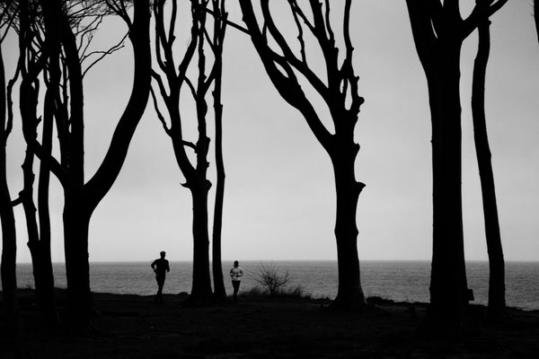 BALTIC SEA - GHOST FOREST / OSTSEE - GESPENSTERWALD