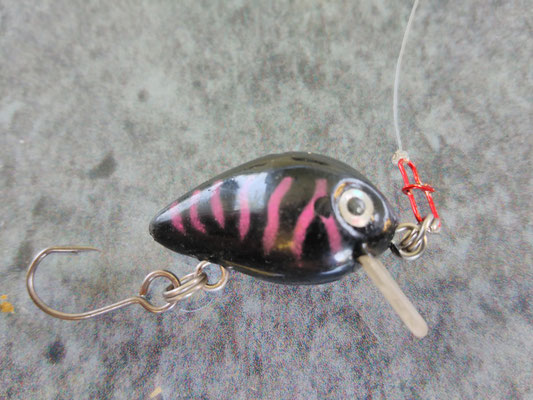 Bester Köder zum Spinnfischen!? - Wallertretzer Buronia Guiding