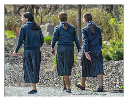 Hasidic girls walking to their patch of land. 