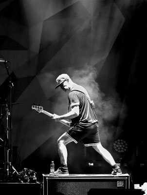 Guano Apes