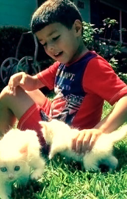Cute as a kitten - but not of Jonas blood! Confirmed by Mrs. Jonas.