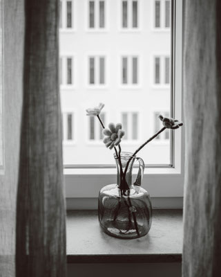 347/365: 13.12.2025 - Fensterblick