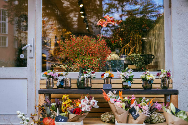 275/365: 02.10.2025 - Blumensalon in der Türkenstraße