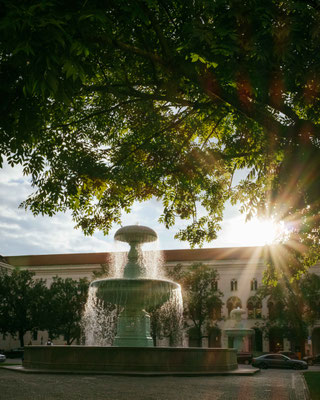204/365: 23.07.2025 - Schalenbrunnen