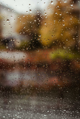 299/365: 26.10.2025 - Wind+Regen