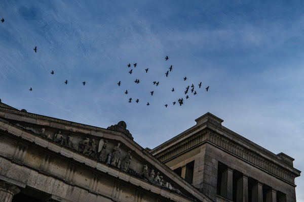 323/365: 19.11.2025 - Königsplatz
