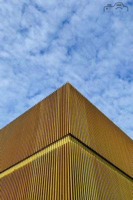 014/365: 14.01.2025 - Lenbachhaus