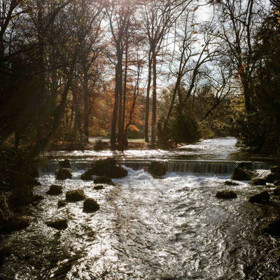 316/365: 12.11.2025 - Englischer Garten