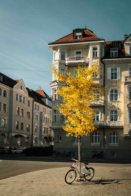 304/365: 31.10.2025 - Schwabing