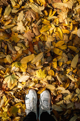 301/365: 28.10.2025 - nach dem Sturm