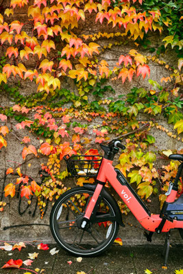 295/365: 22.10.2025 - Farbenspiel