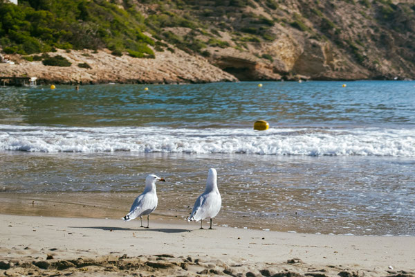 264/365: 21.09.2025 - Cala Llonga Beach