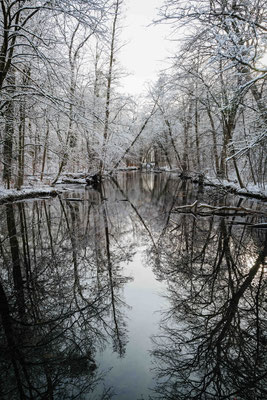 004/365: 04.01.2025 - Schlosspark Nymphenburg