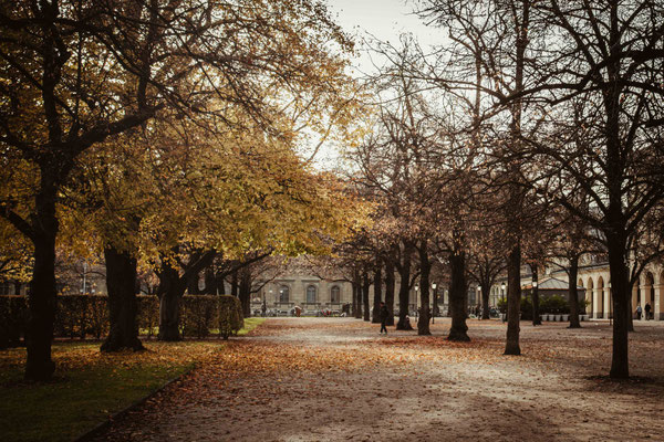 319/365: 15.11.2025 - Hofgarten