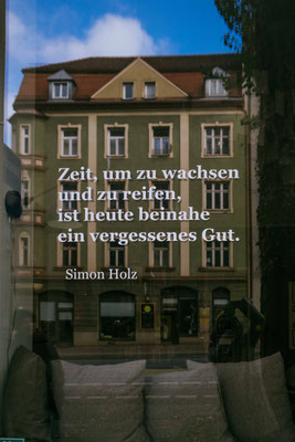 326/365: 22.11.2025 - Sendling