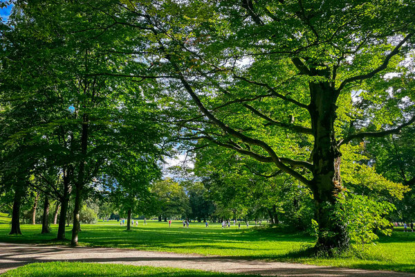 245/365: 02.09.2025 - Englischer Garten