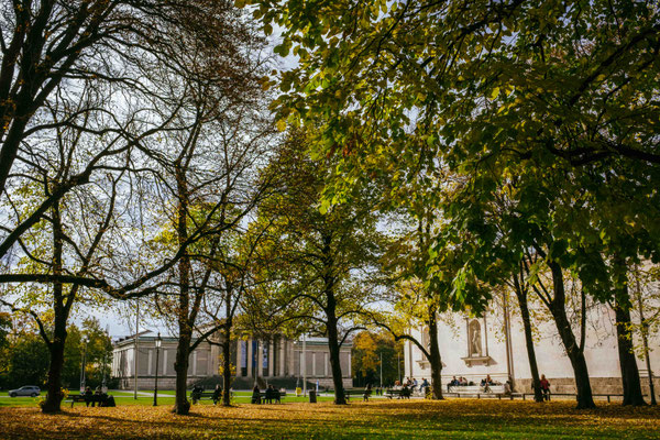 294/365: 21.10.2025 - Königsplatz