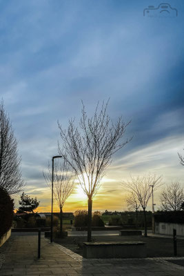 024/365: 24.01.2025 - Sunset in der Bahnstadt
