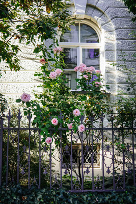 225/365: 13.08.2025 - Schackstraße