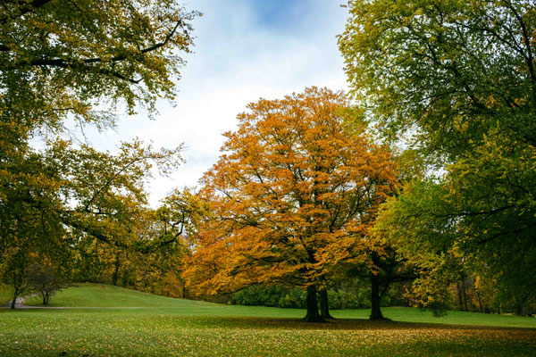 300/365: 27.10.2025 - Englischer Garten