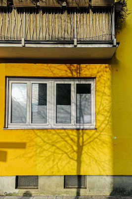 018/365: 18.01.2025 - Schattenspiele