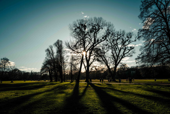 353/365: 19.12.2025 - Englischer Garten